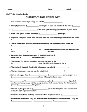 photosynthesis review worksheet answers
