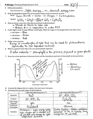 Photosynthesis Review Key (2.9) | PDF