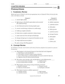 photosynthesis review worksheet