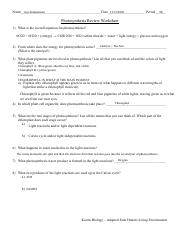 Photosynthesis Review Worksheet.docx.pdf - 7th Ava Zimmerman Name ...