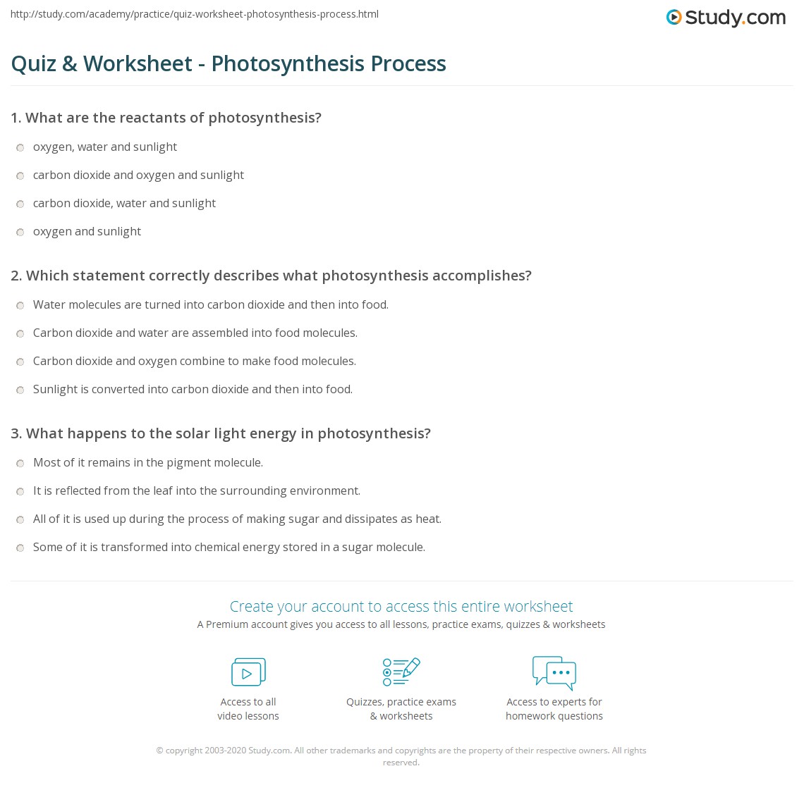 Quiz &  Worksheet - Photosynthesis Process | Study.com