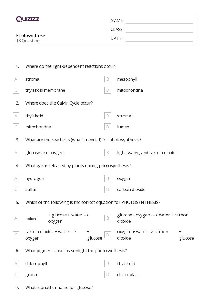 photosynthesis review worksheet
