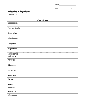 photosynthesis vocabulary worksheet