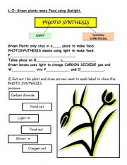 photosynthesis - ESL worksheet by rofloman