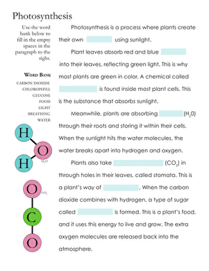 Photosynthesis Fill-in-the-Blank | Interactive Worksheet ...