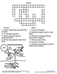 photosynthesis worksheet 5th grade