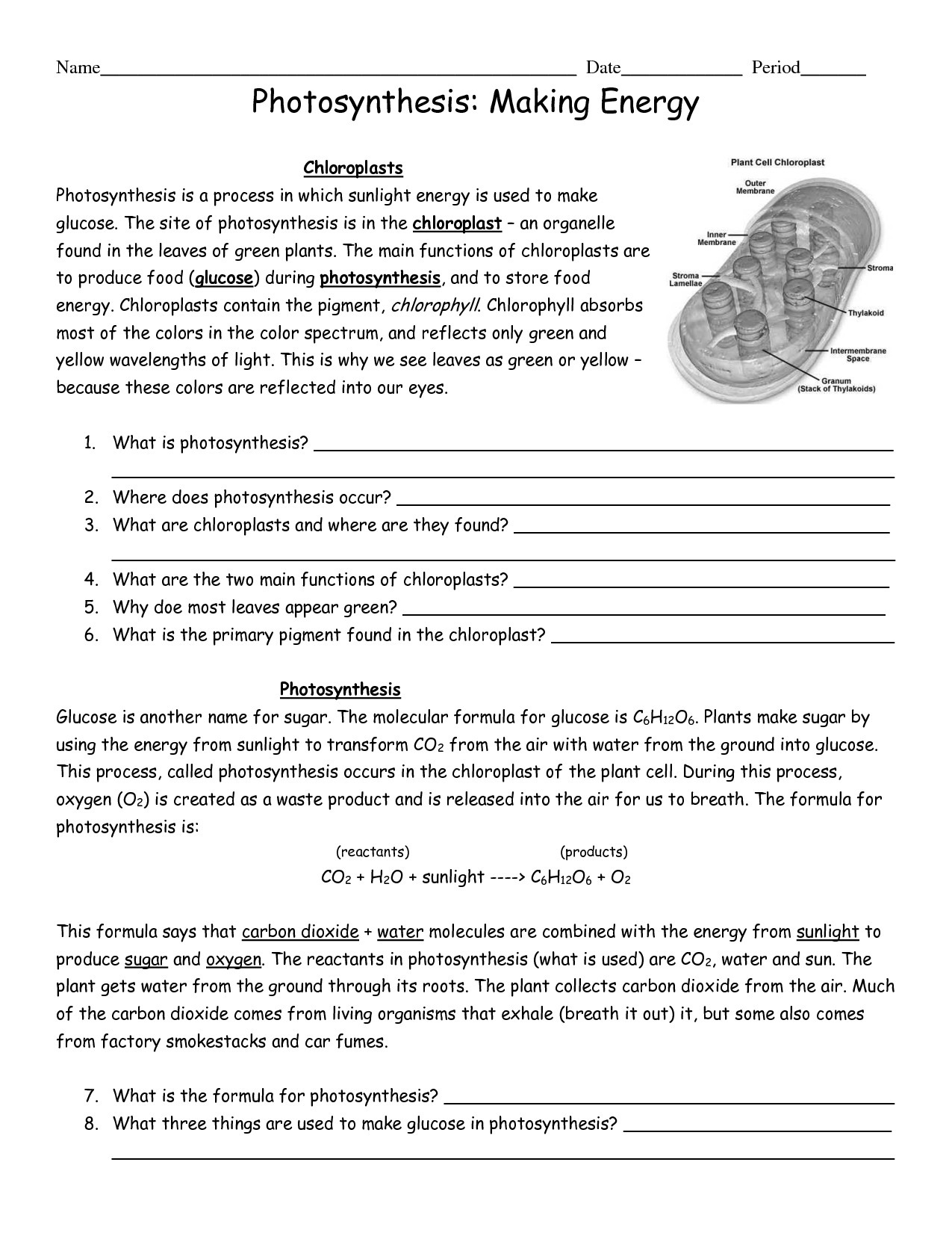 9 Best Worksheets For Exploring The Wonders Of Photosynthesis ...