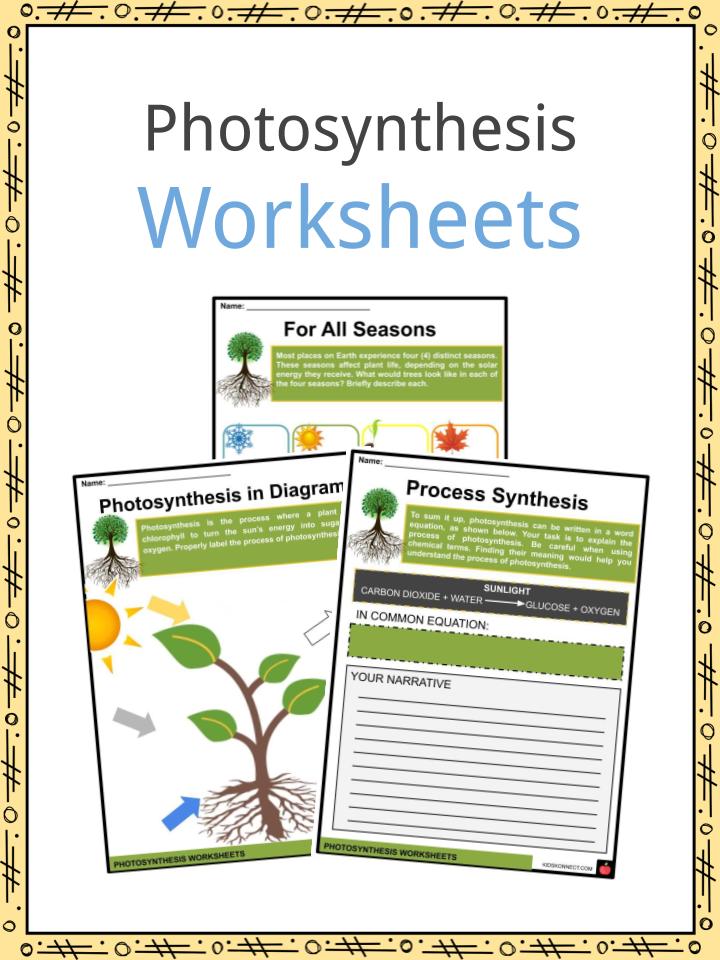 photosynthesis worksheet pdf