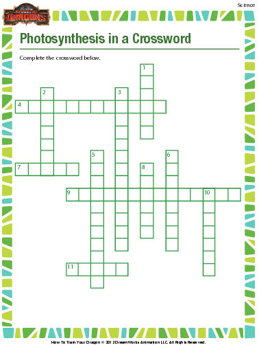 photosynthesis worksheet pdf