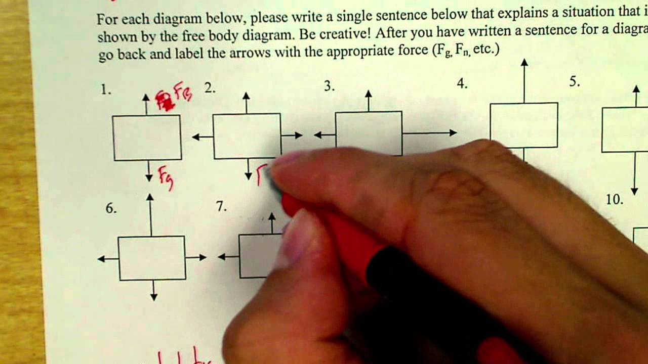 Free Body Diagram Worksheet Collection For Teaching &  Learning