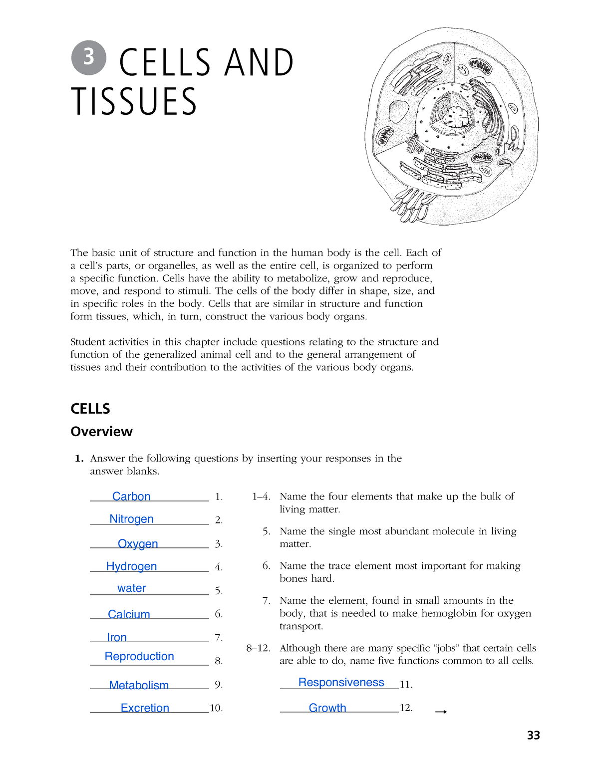 Chapter 3 workbook Cells and Tissues - The basic unit of structure ...