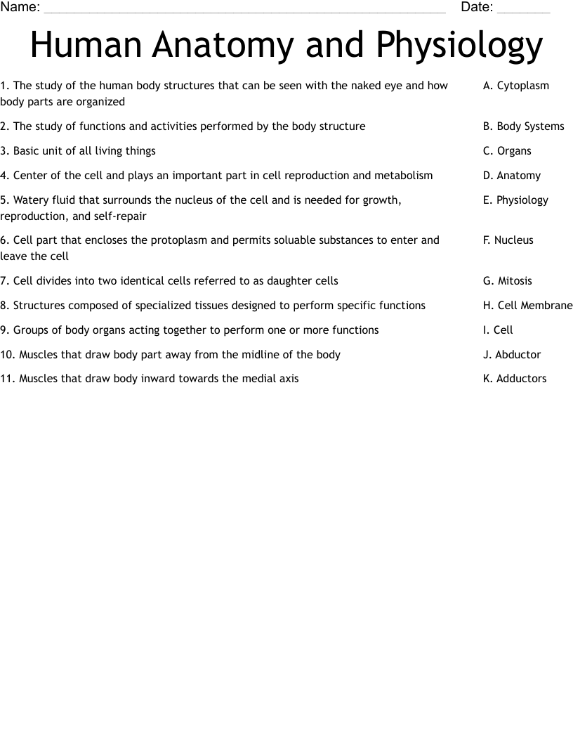 Human Anatomy and Physiology Worksheet - WordMint