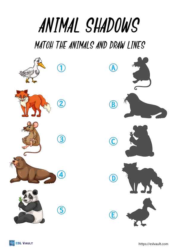 picture matching worksheet