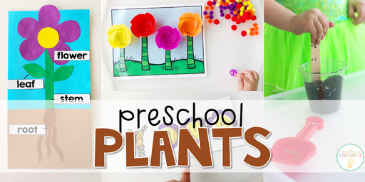 Preschool: Plants - Mrs. Plemons Kindergarten
