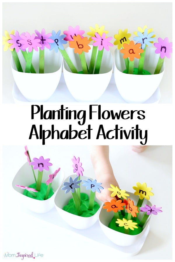 plant activities for kindergarten