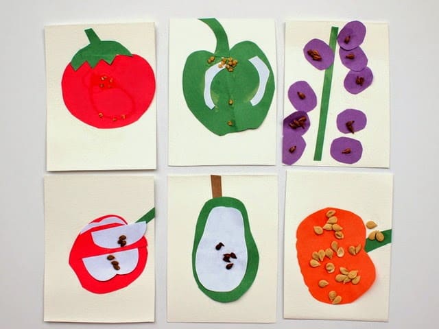 plant activities for kindergarten