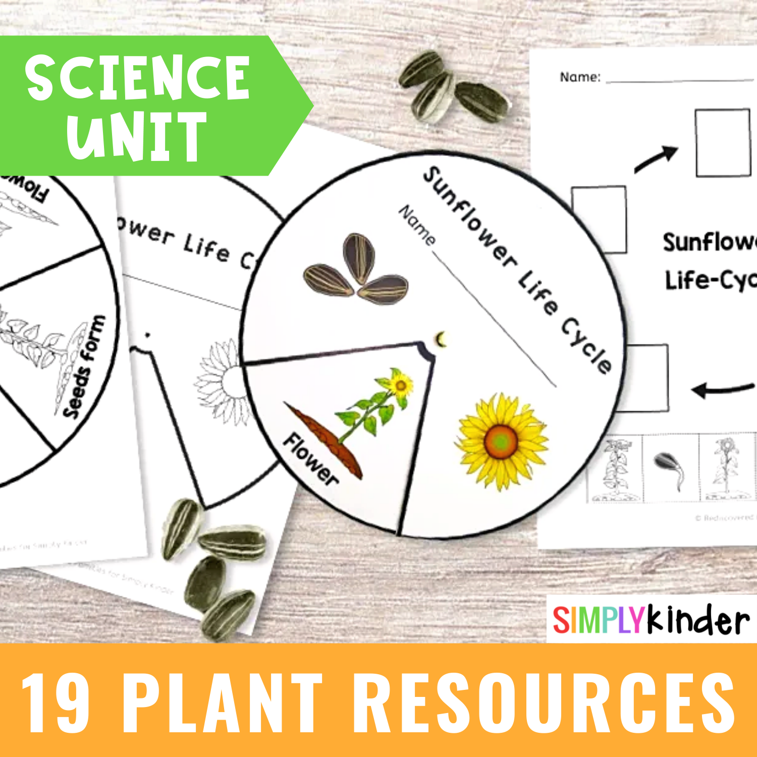 19 Creative Resources to Help You Plan A Plant Science Unit ...