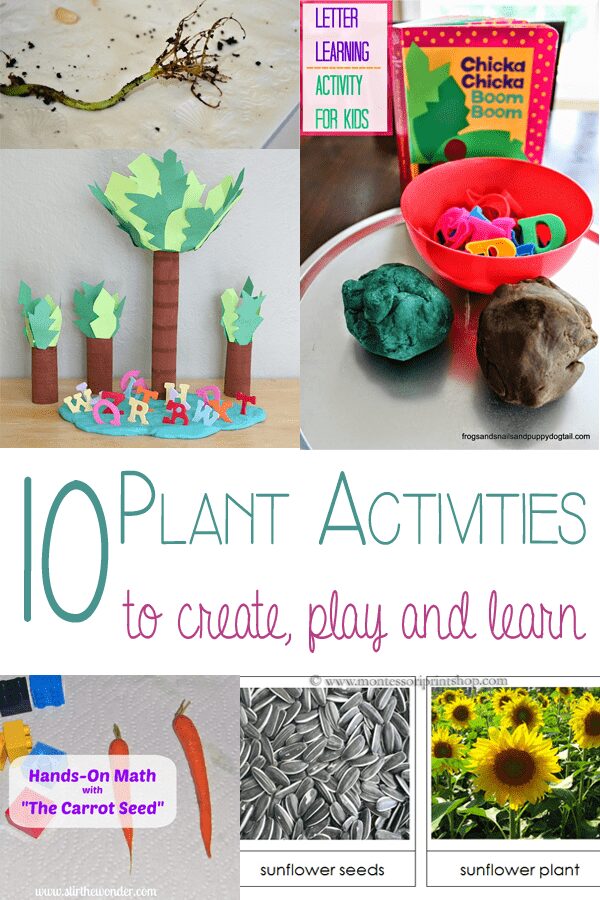 10 Fun and Simple Toddler and Preschool Plant Activities Worksheets 10 Fun and Simple Toddler and Preschool Plant Activities Worksheets