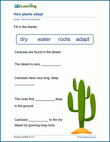 How Plants Adapt Worksheet | Worsheets library