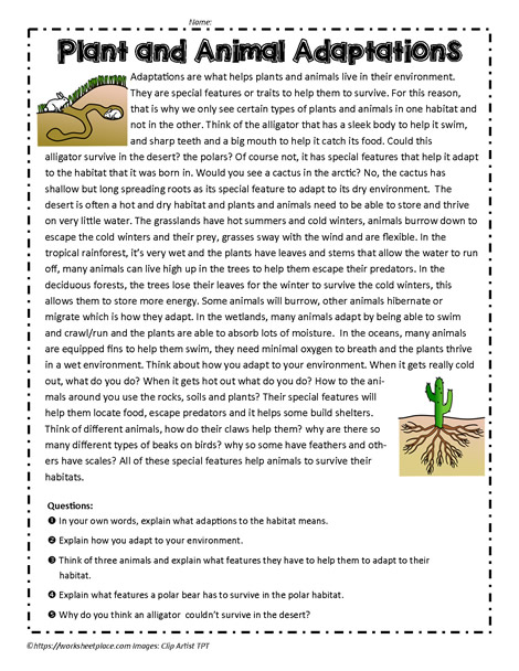 Plant and Animal Adaptations Worksheets
