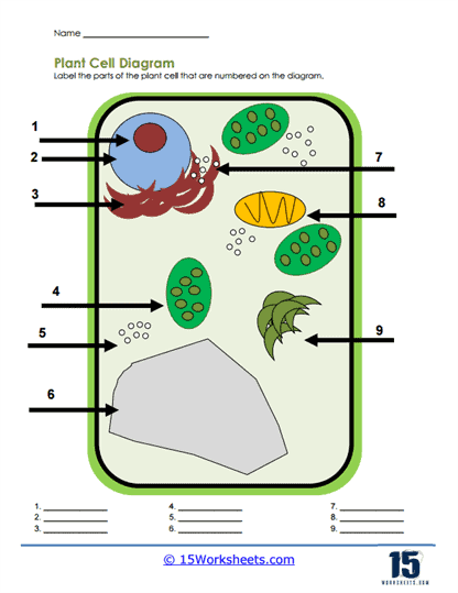 plant and animal cell worksheet