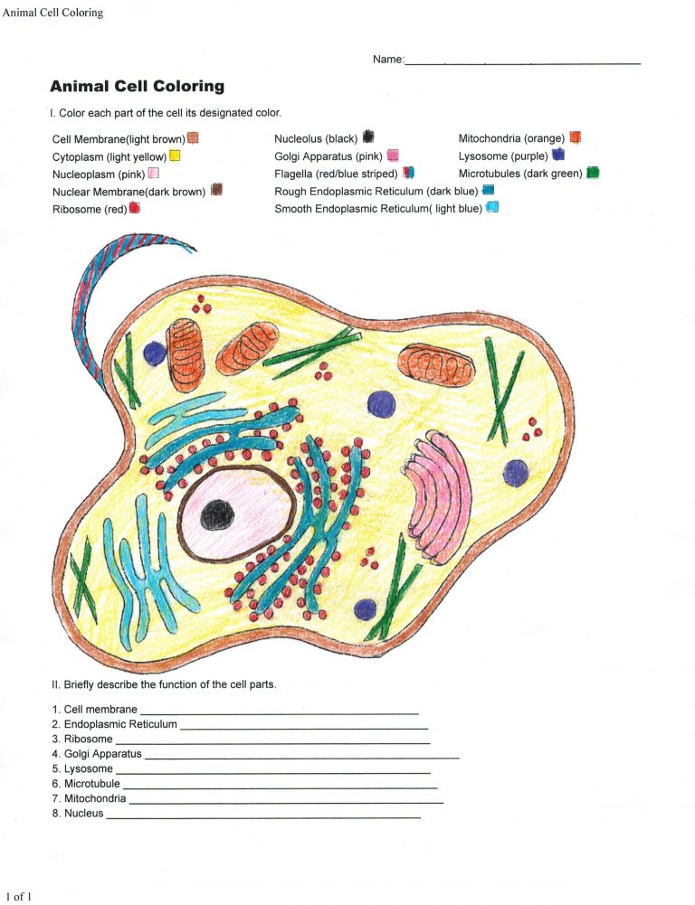 Animal Coloring Cell