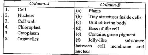 plant cell column