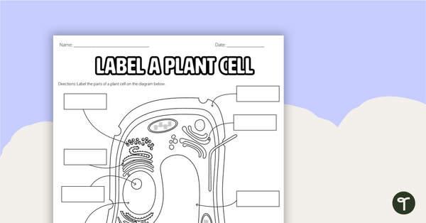 Plant Cell Diagram - Labelling Worksheet | Teach Starter