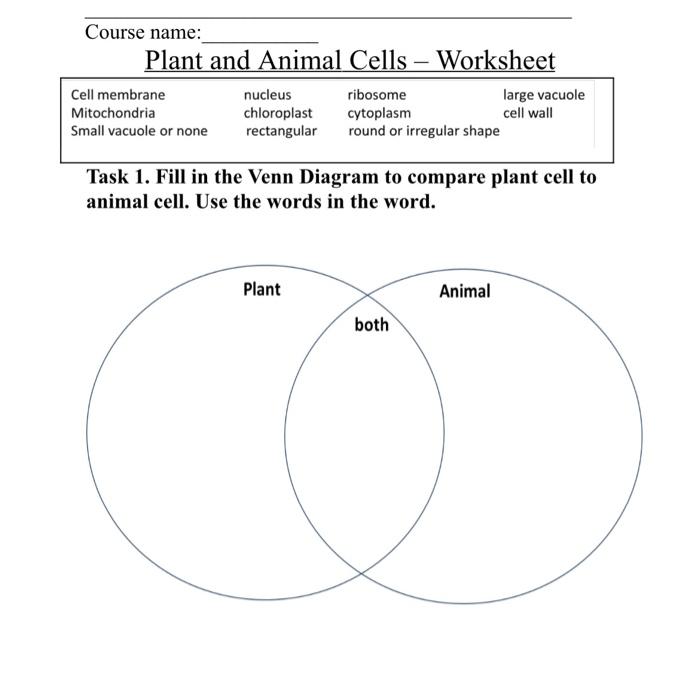 Solved Plant and Animal Cells - Worksheet Task 1. Fill in | Chegg.com