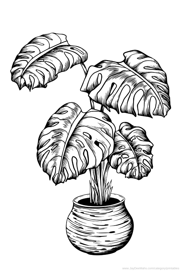 Houseplants Coloring Page: Monstera Deliciosa (and Fun Ideas for ...