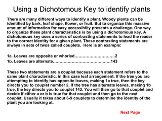 Dichotomous Key 1 | PPT