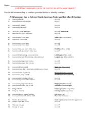 plant dichotomous key worksheet