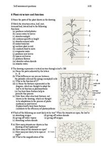 Plant Structure and Function Worksheet for 6th - 12th Grade ...