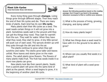 plant life cycle worksheet 2nd grade