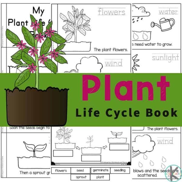 ? FREE Plant Life Cycles Printable Emergent Reader and Worksheets