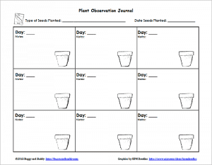Gardening with Kids: Planting Seeds with Free Printable - Buggy ...