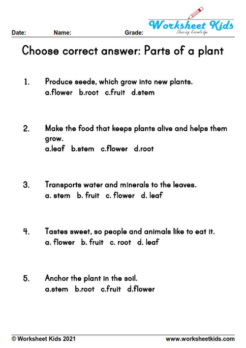 Free Plant Parts &amp; Functions Worksheets: Preschool to 2nd Grade