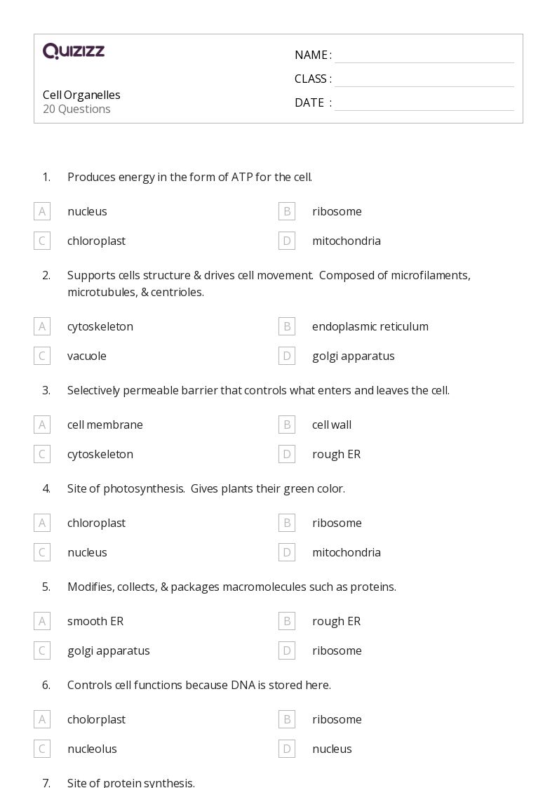 50+ plant parts and their functions worksheets for 9th Grade on ...