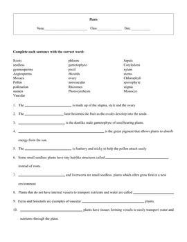 4 All About Plant Processes Worksheet set with keys