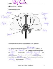 plant reproduction worksheet answers