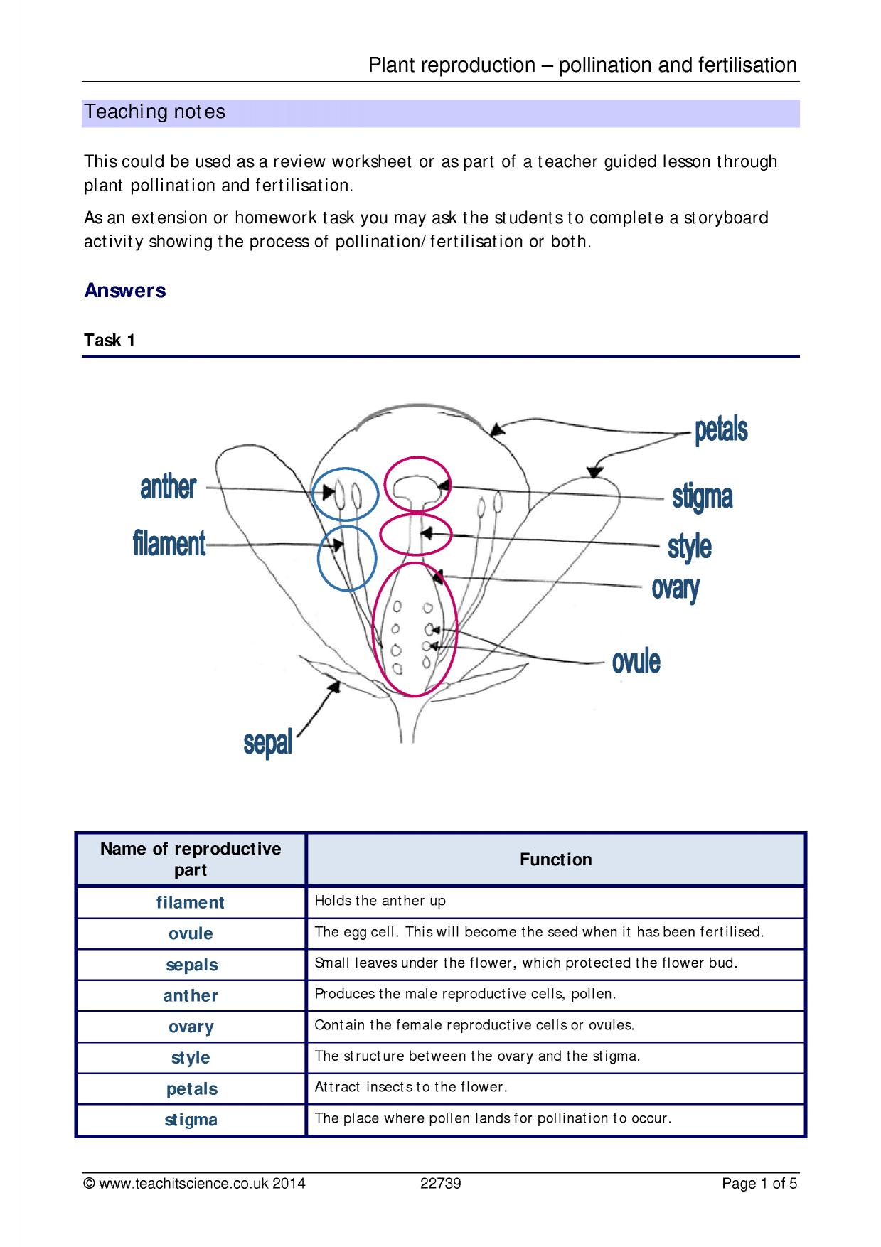plant reproduction worksheet answers