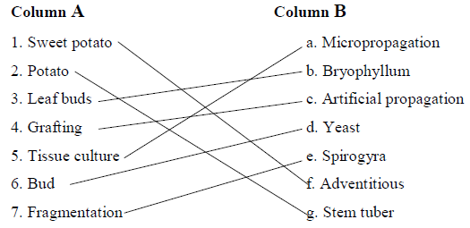 plant reproduction worksheet answers