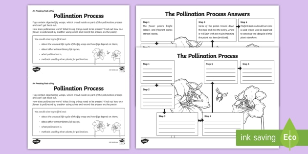 plant reproduction worksheet