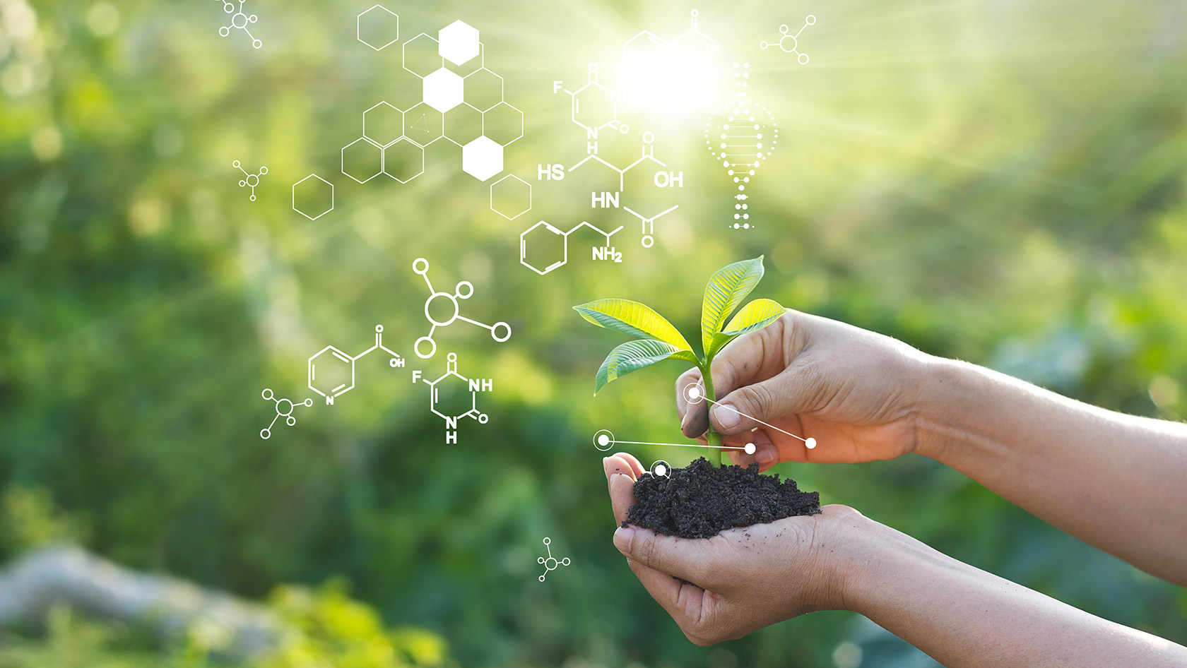Plant Science Center | University of Zurich | UZH