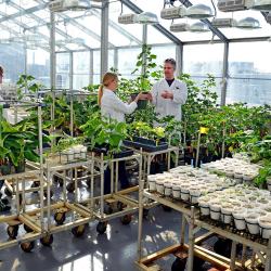 Department of Plant Sciences |
