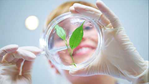 Plant science - The University of Auckland
