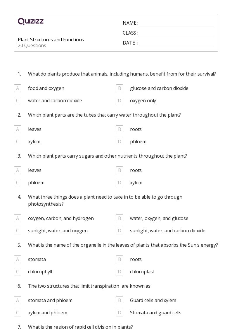 Free plant structure and function worksheet answers, Download Free