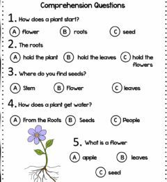 plant worksheet 2nd grade