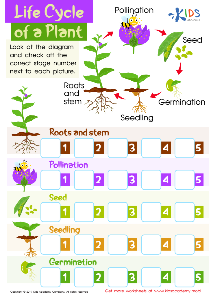 Life Cycle of a Plant Worksheet for kids