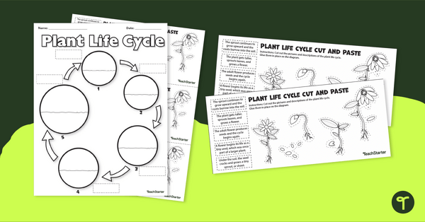 Plant Life Cycle - Cut and Paste Worksheet | Teach Starter